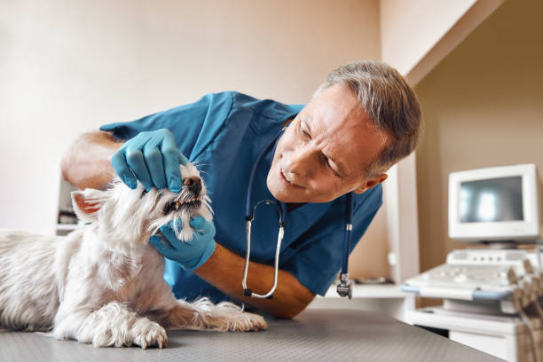 Wedgefield, FL Emergency Dentist Pros